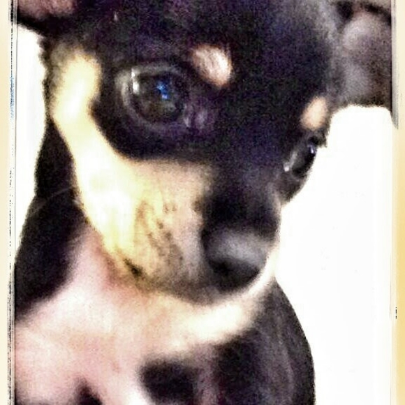 Meet your Posher, Marcy - Picture 15 of 16